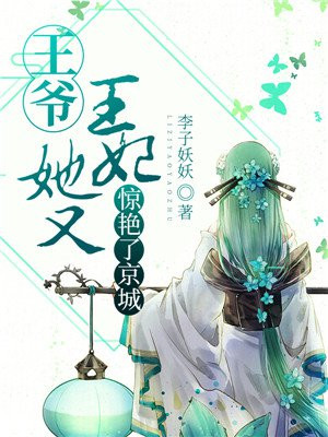 夜霜菱沐宸风